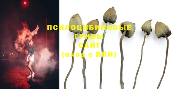 дурь Абаза