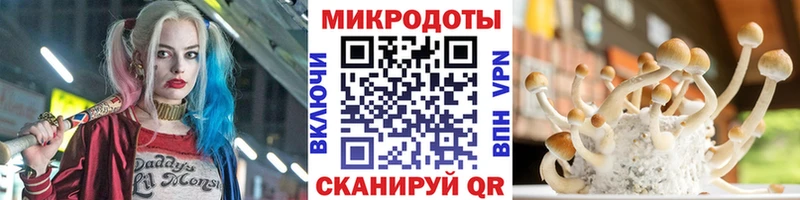 Псилоцибиновые грибы ЛСД Тимашёвск